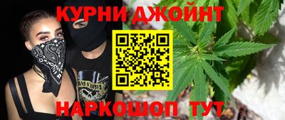 крисы Дубна